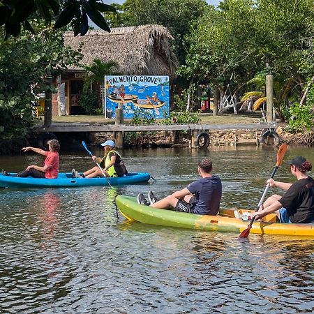 Palmento Grove Garifuna Eco-Cultural & Healing Institute ホプキンズ エクステリア 写真