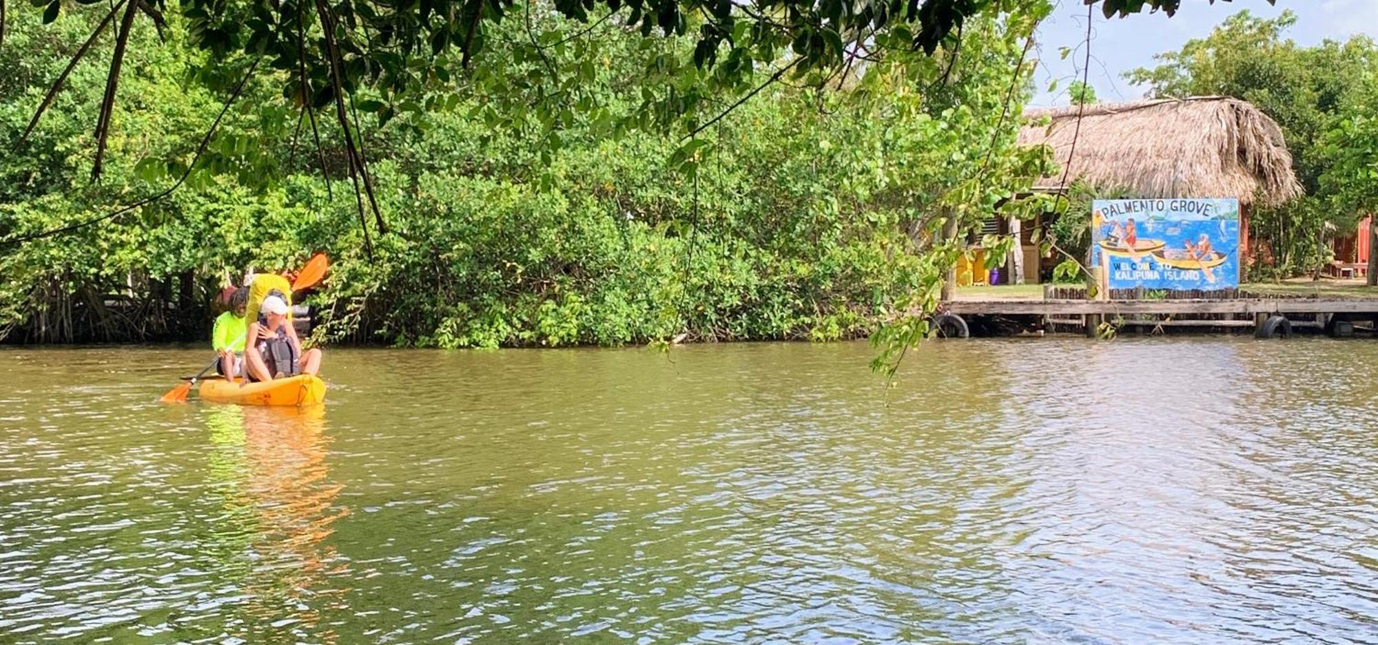 Palmento Grove Garifuna Eco-Cultural & Healing Institute ホプキンズ エクステリア 写真