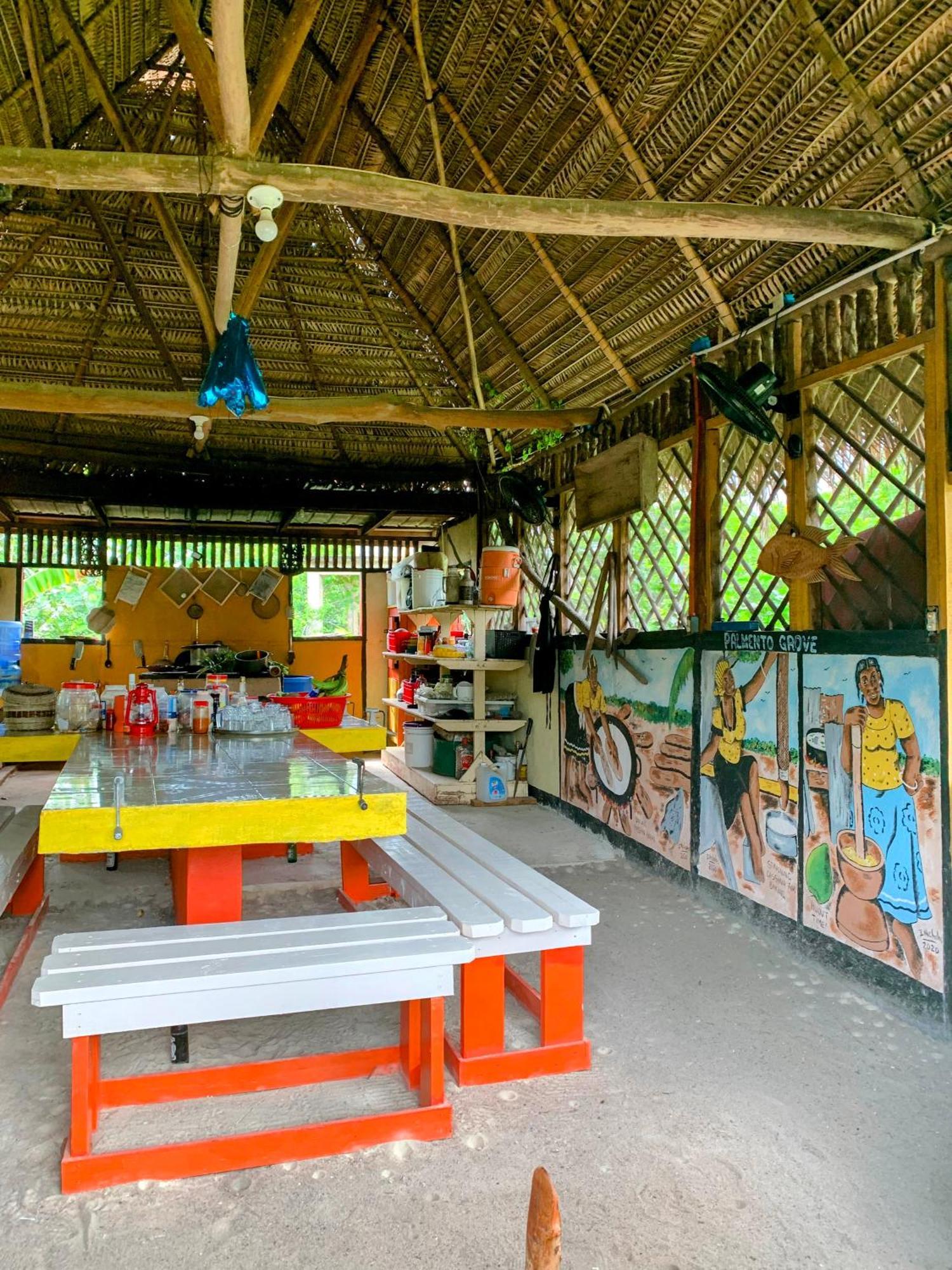 Palmento Grove Garifuna Eco-Cultural & Healing Institute ホプキンズ エクステリア 写真