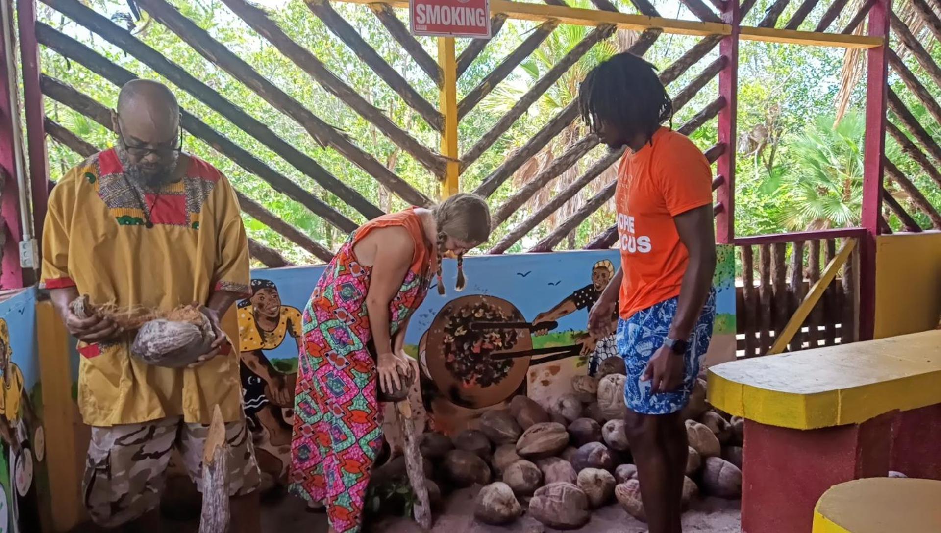 Palmento Grove Garifuna Eco-Cultural & Healing Institute ホプキンズ エクステリア 写真