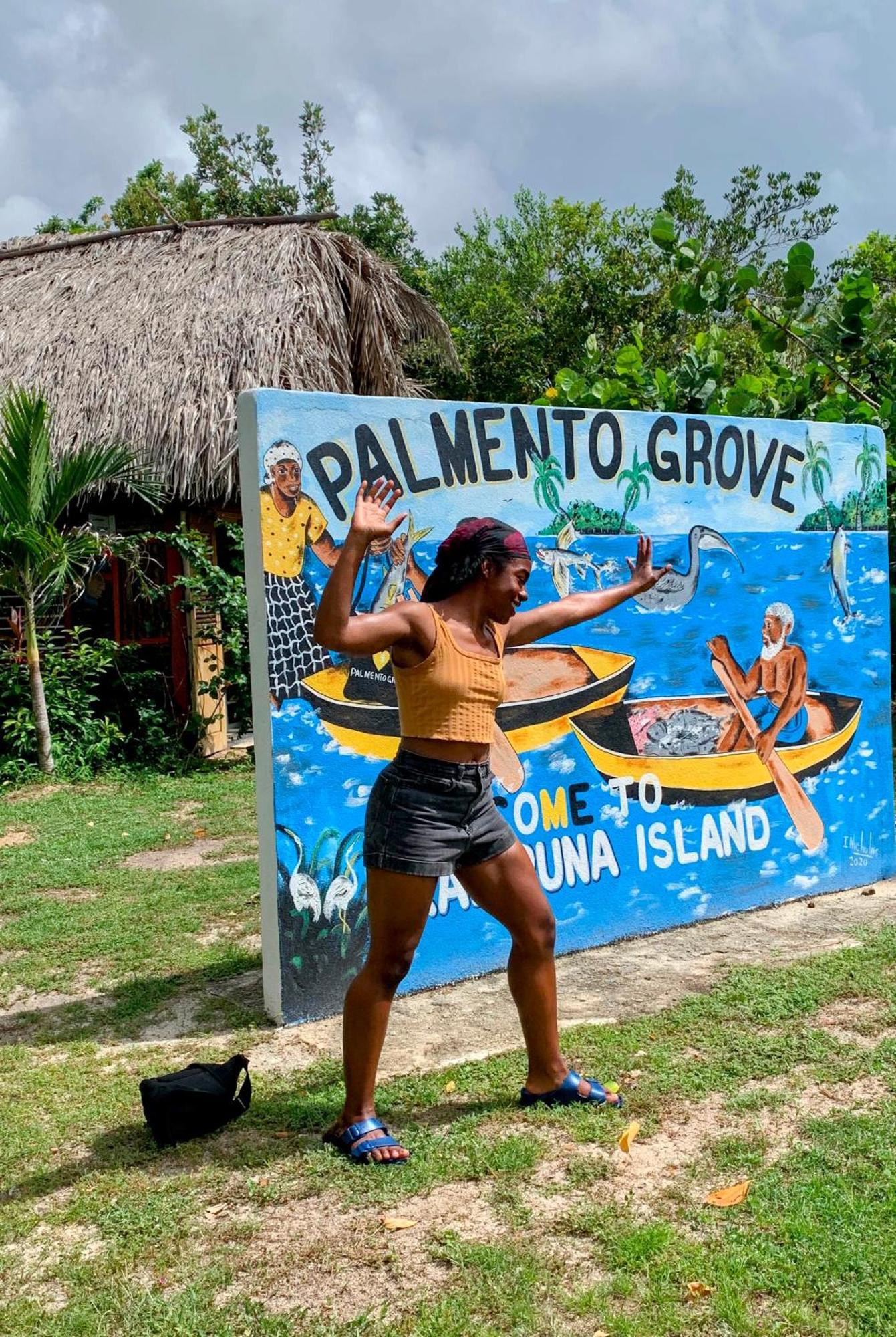 Palmento Grove Garifuna Eco-Cultural & Healing Institute ホプキンズ エクステリア 写真