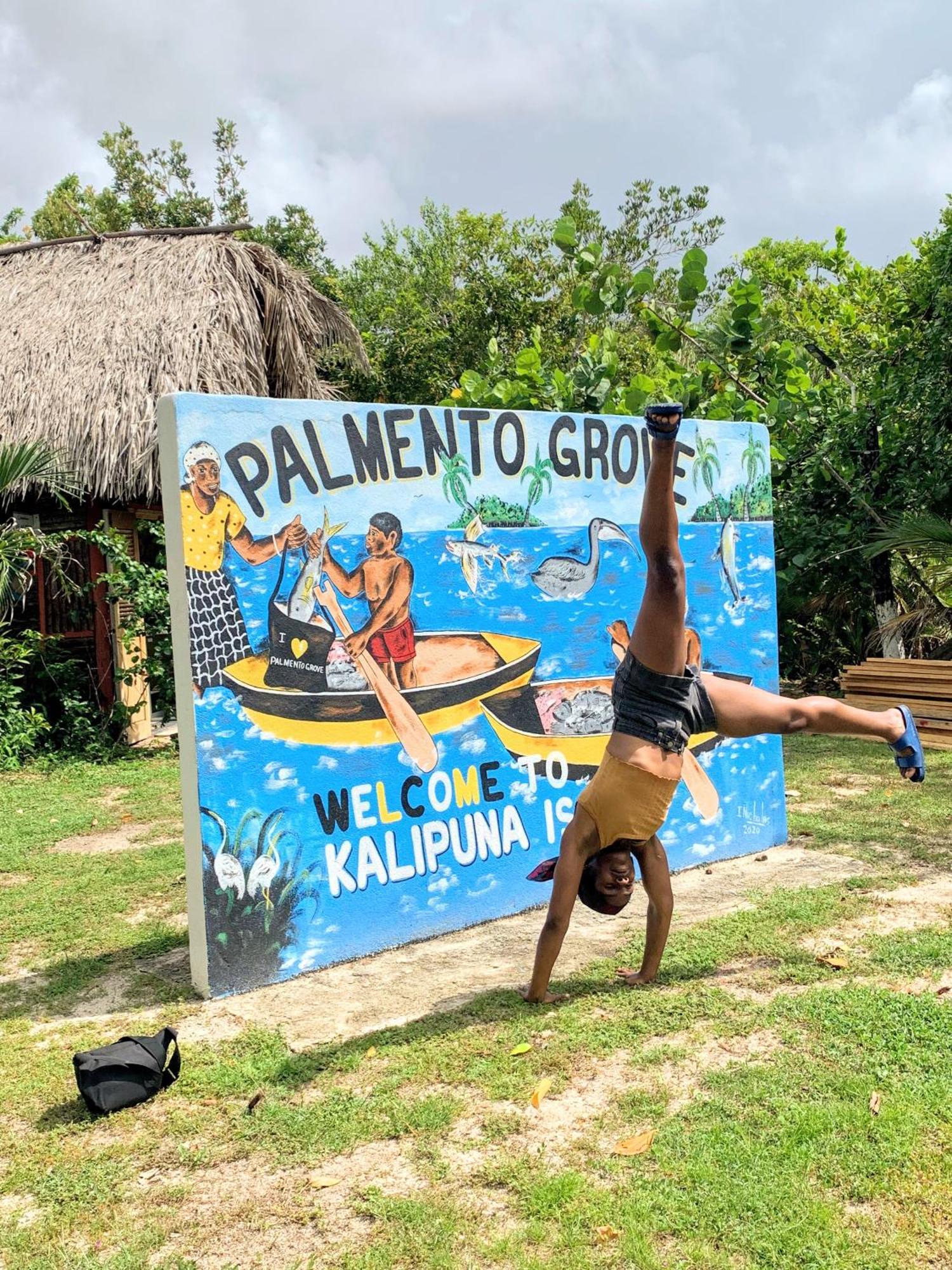 Palmento Grove Garifuna Eco-Cultural & Healing Institute ホプキンズ エクステリア 写真