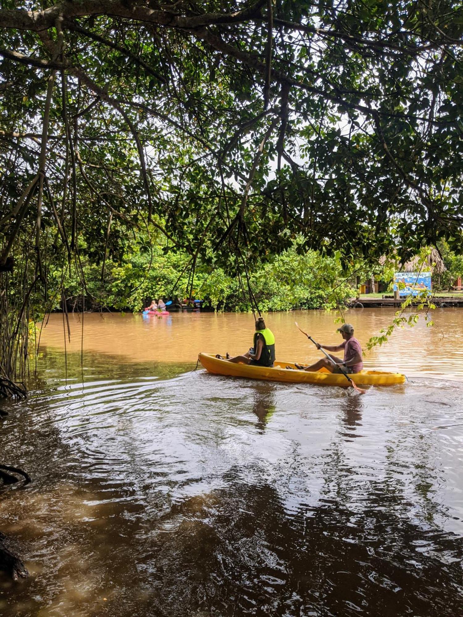 Palmento Grove Garifuna Eco-Cultural & Healing Institute ホプキンズ エクステリア 写真