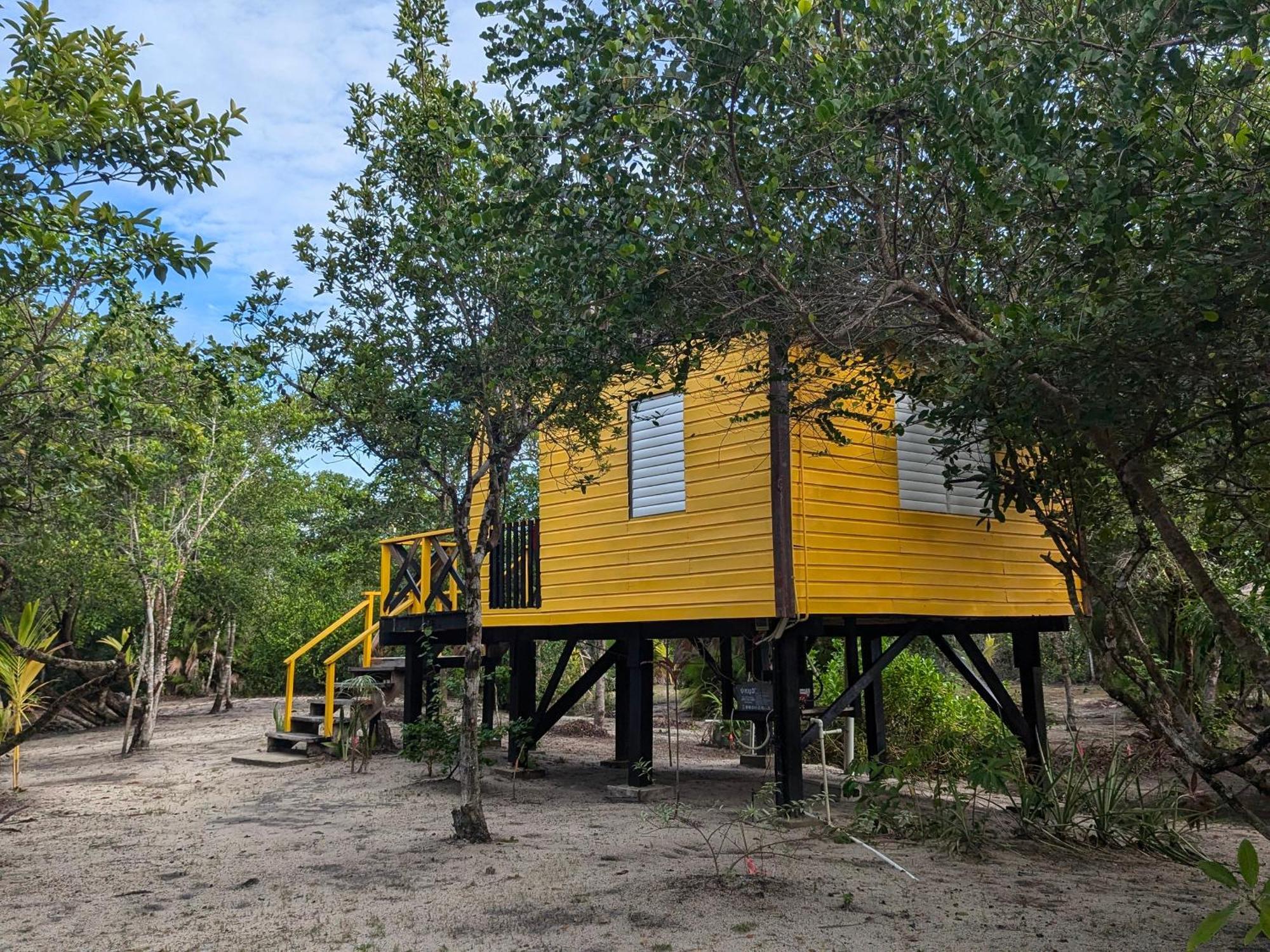 Palmento Grove Garifuna Eco-Cultural & Healing Institute ホプキンズ エクステリア 写真