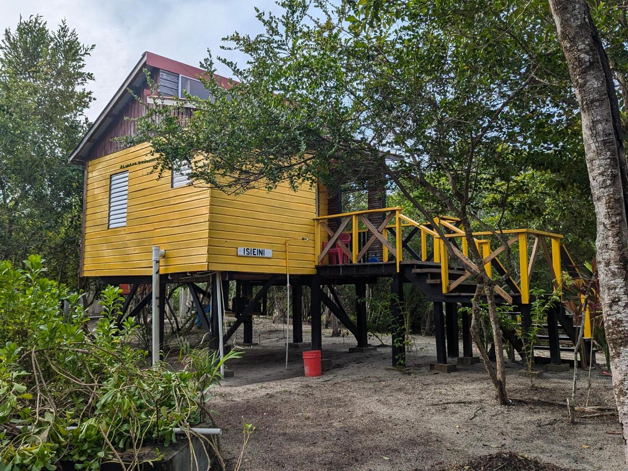 Palmento Grove Garifuna Eco-Cultural & Healing Institute ホプキンズ エクステリア 写真