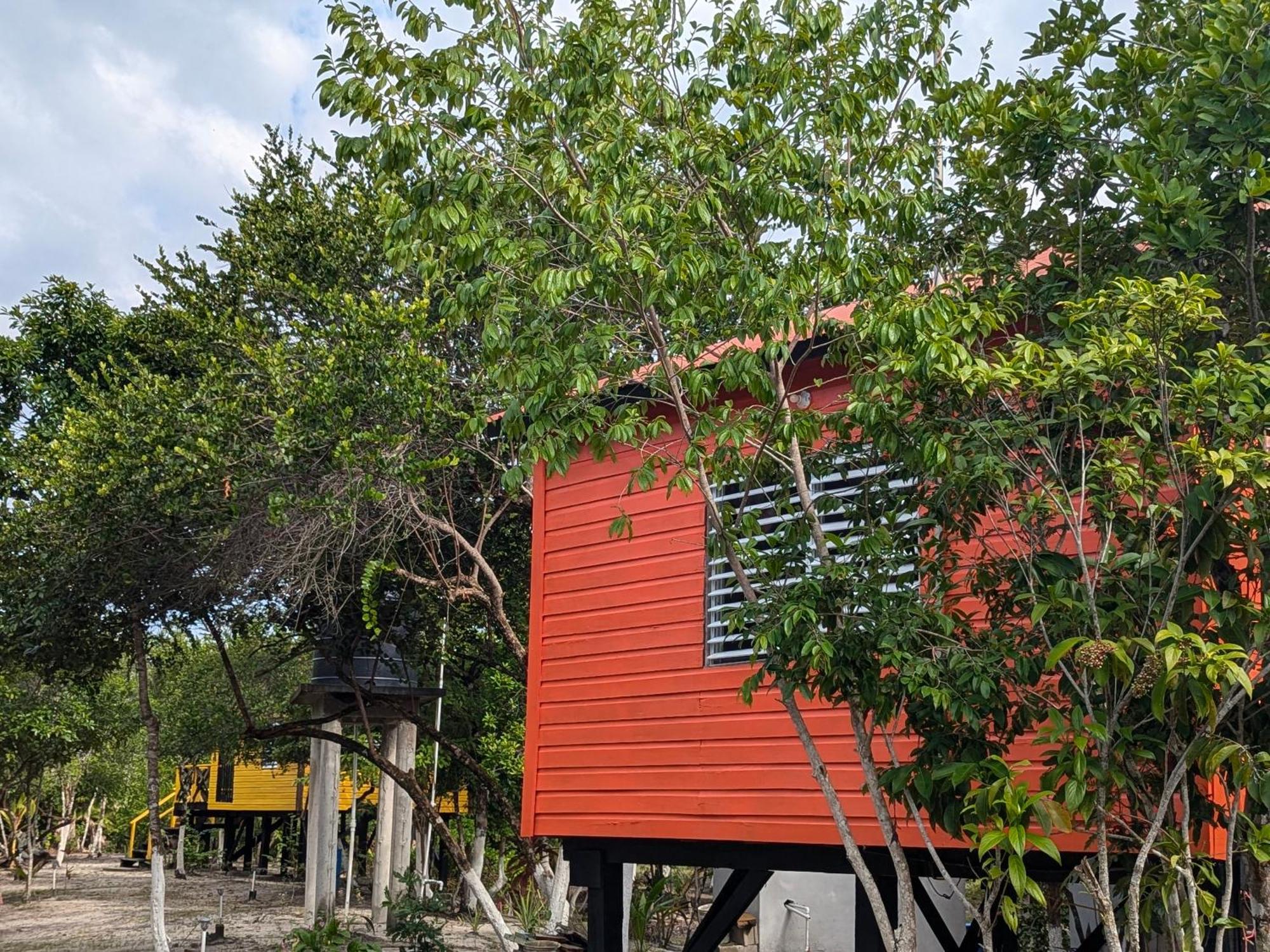 Palmento Grove Garifuna Eco-Cultural & Healing Institute ホプキンズ エクステリア 写真