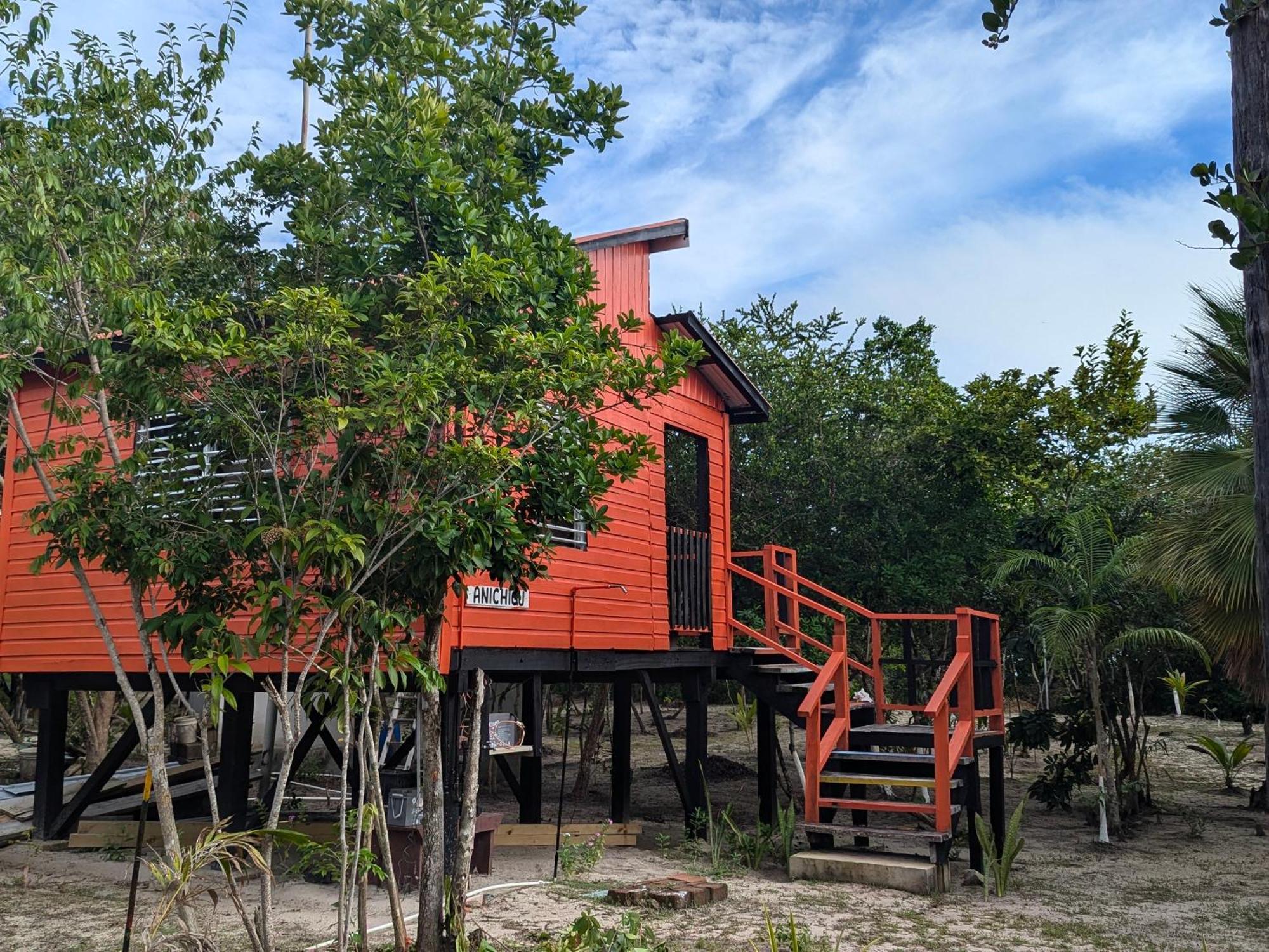 Palmento Grove Garifuna Eco-Cultural & Healing Institute ホプキンズ エクステリア 写真