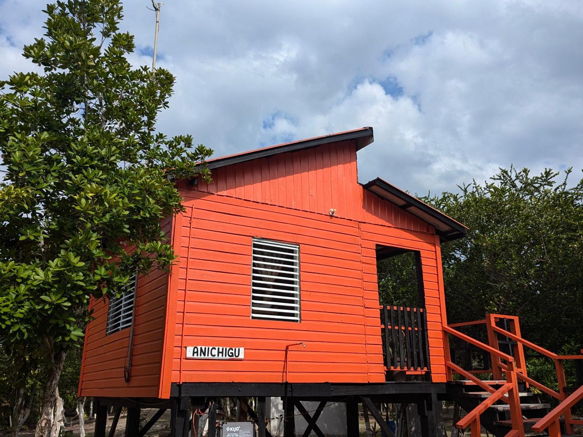 Palmento Grove Garifuna Eco-Cultural & Healing Institute ホプキンズ エクステリア 写真