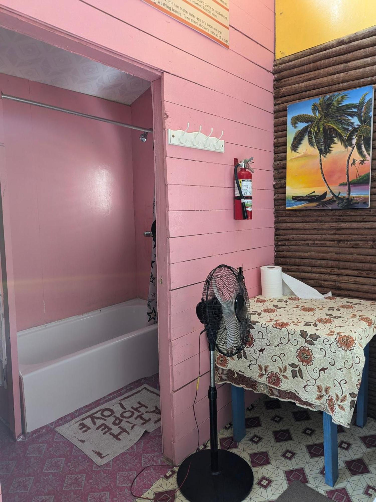 Palmento Grove Garifuna Eco-Cultural & Healing Institute ホプキンズ エクステリア 写真