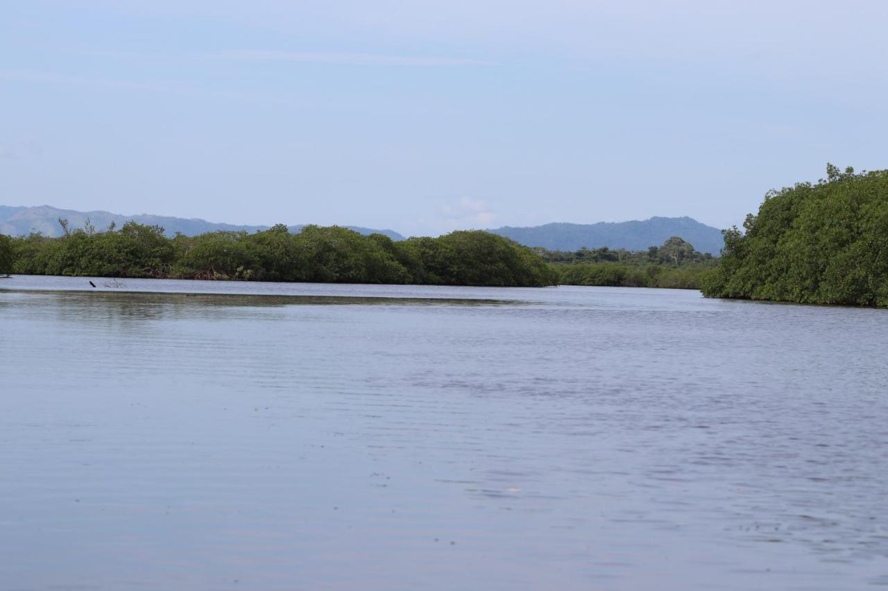 Palmento Grove Garifuna Eco-Cultural & Healing Institute ホプキンズ エクステリア 写真