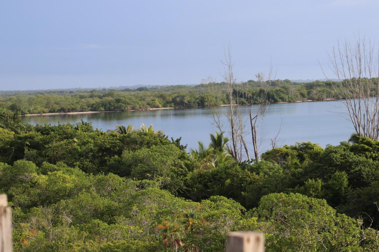 Palmento Grove Garifuna Eco-Cultural & Healing Institute ホプキンズ エクステリア 写真