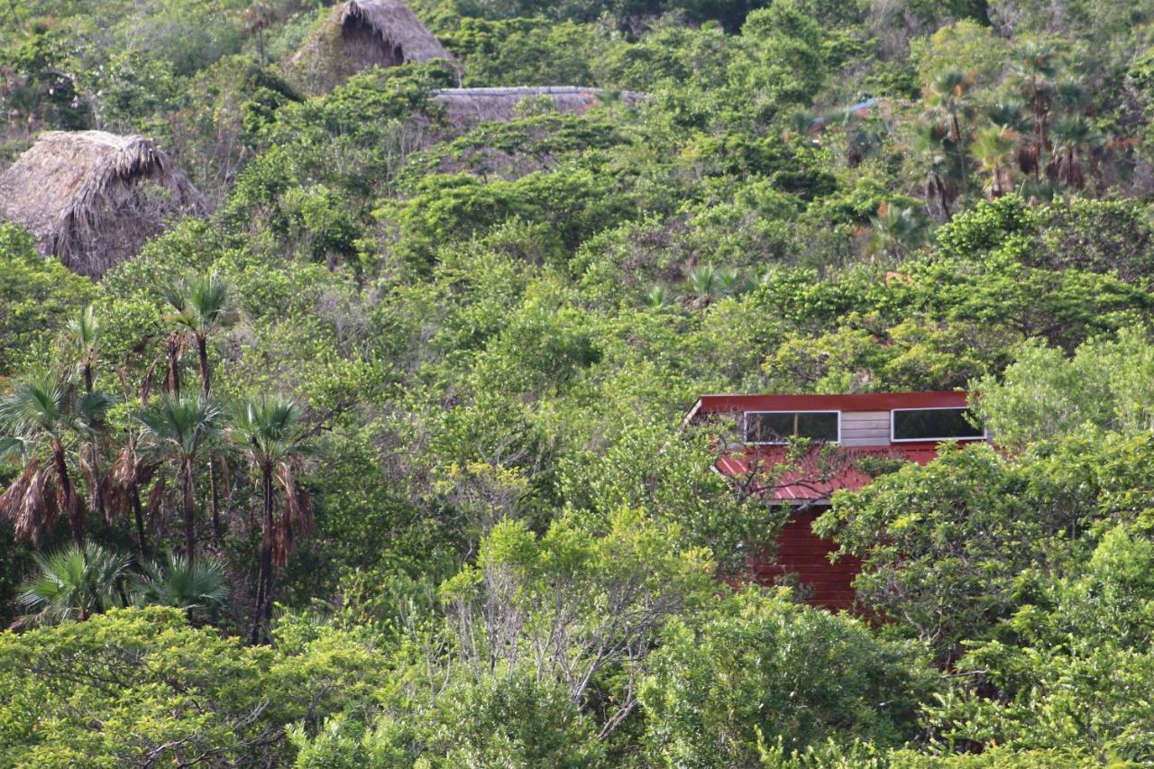 Palmento Grove Garifuna Eco-Cultural & Healing Institute ホプキンズ エクステリア 写真