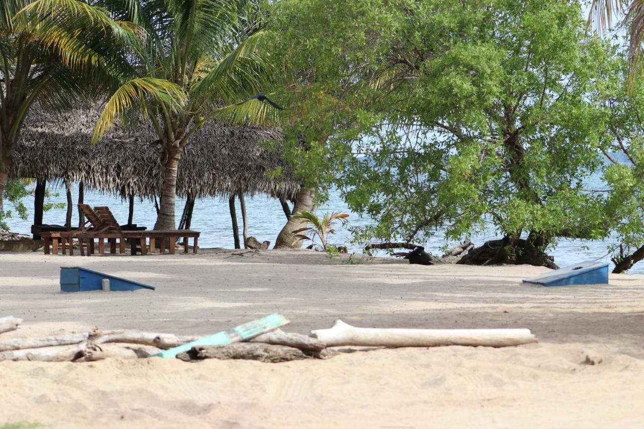 Palmento Grove Garifuna Eco-Cultural & Healing Institute ホプキンズ エクステリア 写真