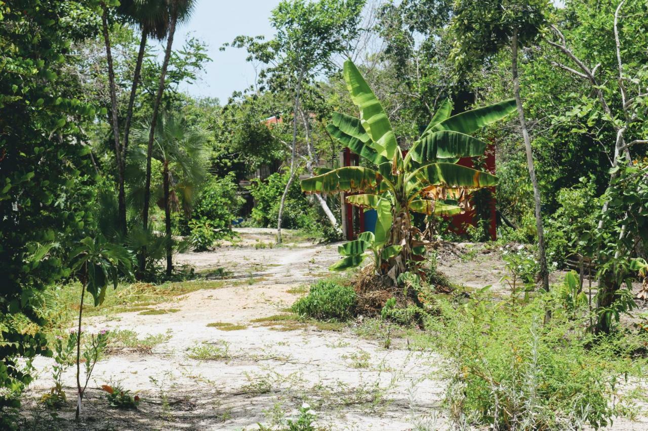 Palmento Grove Garifuna Eco-Cultural & Healing Institute ホプキンズ エクステリア 写真